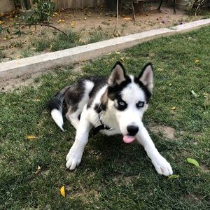 Meet your Posher, Eric